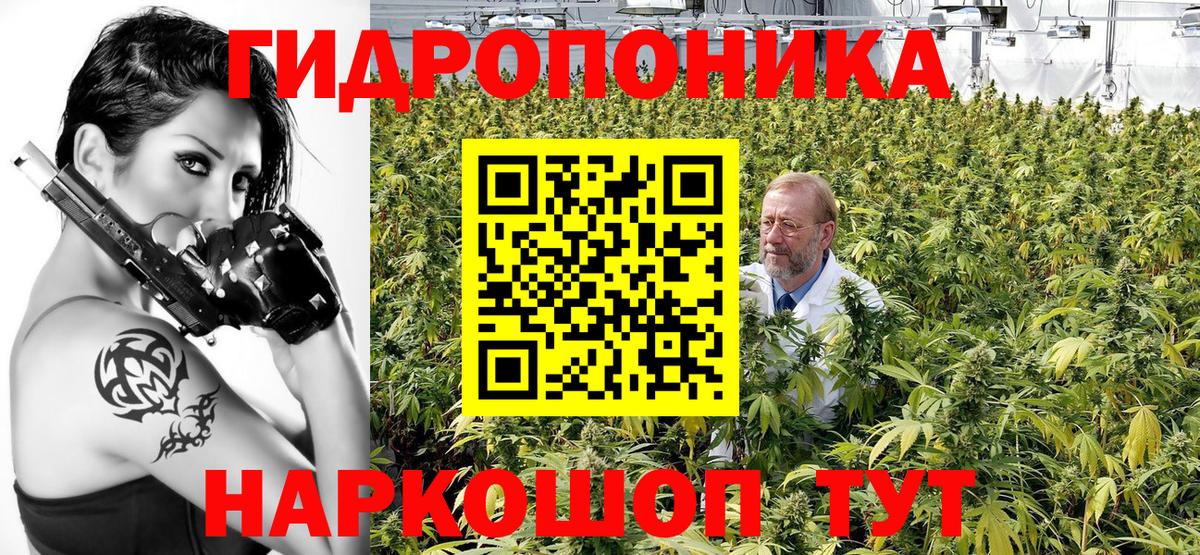 Шишки марихуана семена  Бошки марихуана AK-47  Вход с VPN  Ханты-Мансийск 